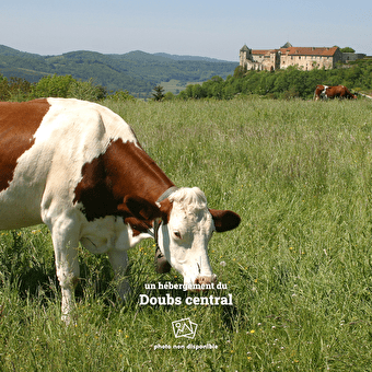 La Roulotte de la Verrière - L'ISLE-SUR-LE-DOUBS