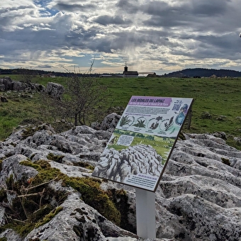 Les Aventures Fankarstiques - Mysterie - COURVIERES