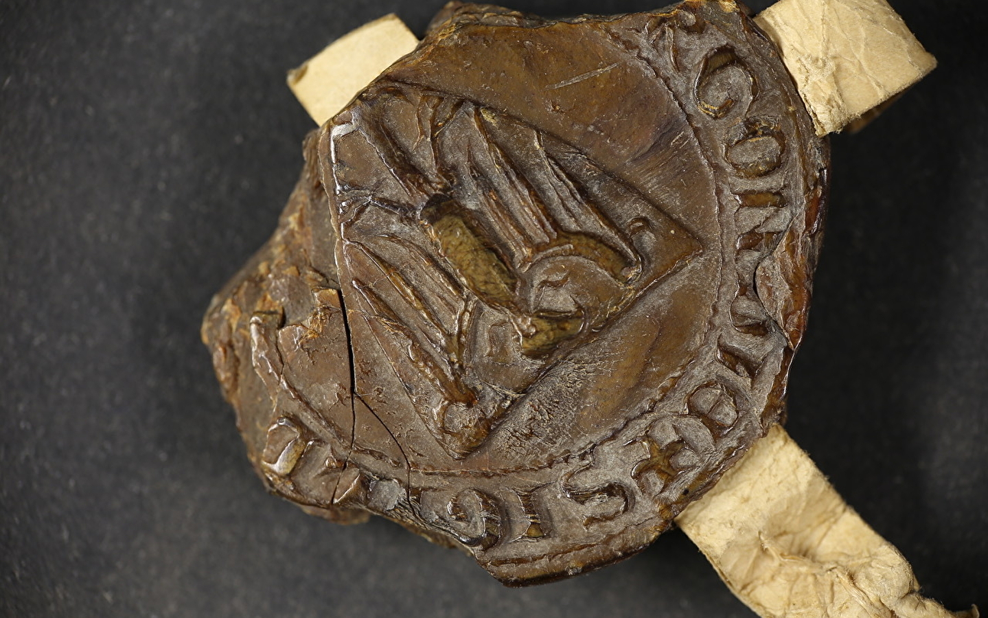 Les RDV de l'Histoire de Dole - Dole, van de oorsprong tot de eerste helft van de 14e eeuw