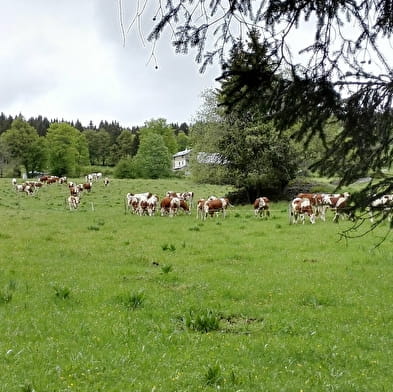 Ferme d'alpage La petite Echelle