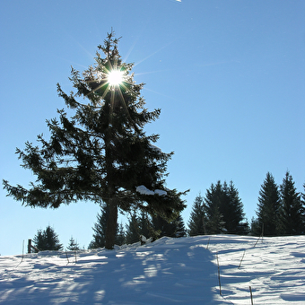 Site Nordique de Gilley - GILLEY