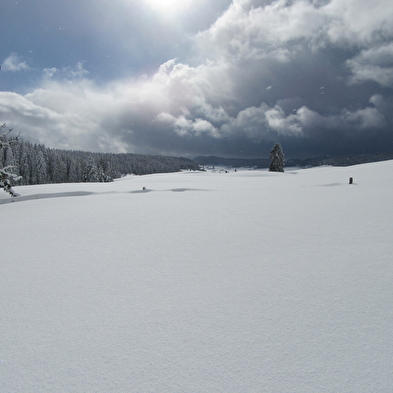 Ontdek de Hautes-Combes du Jura op sneeuwschoenen