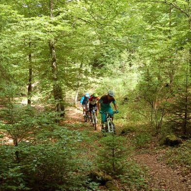 Tour des Lacs - Mountainbiken - Nr 18