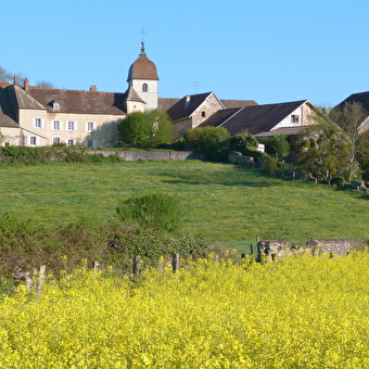 De 3 fonteinen - MONCEY
