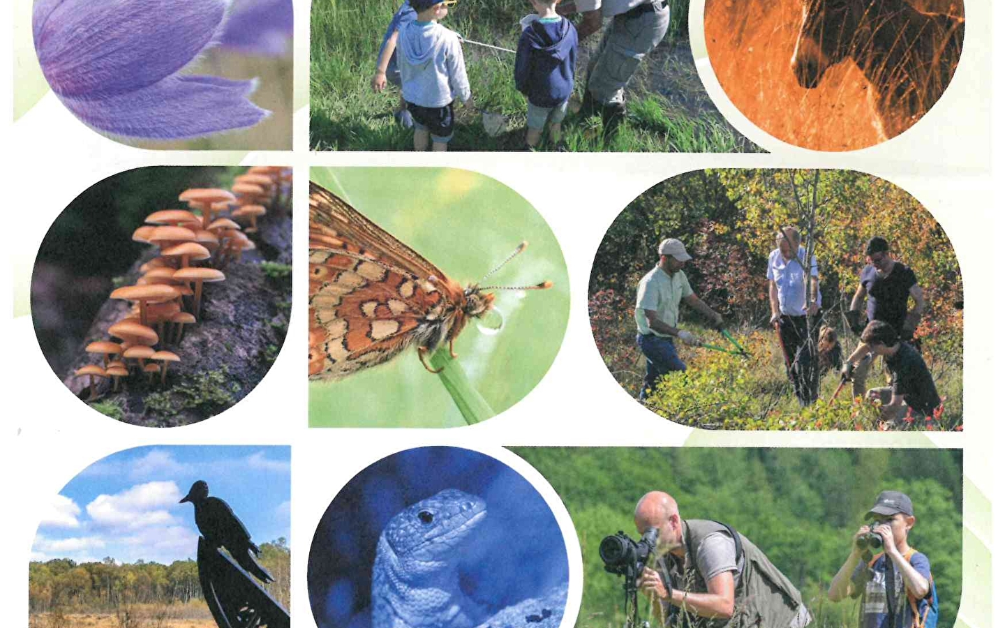 Natuurexcursie en workshop 'Teken een herbarium voor mij!