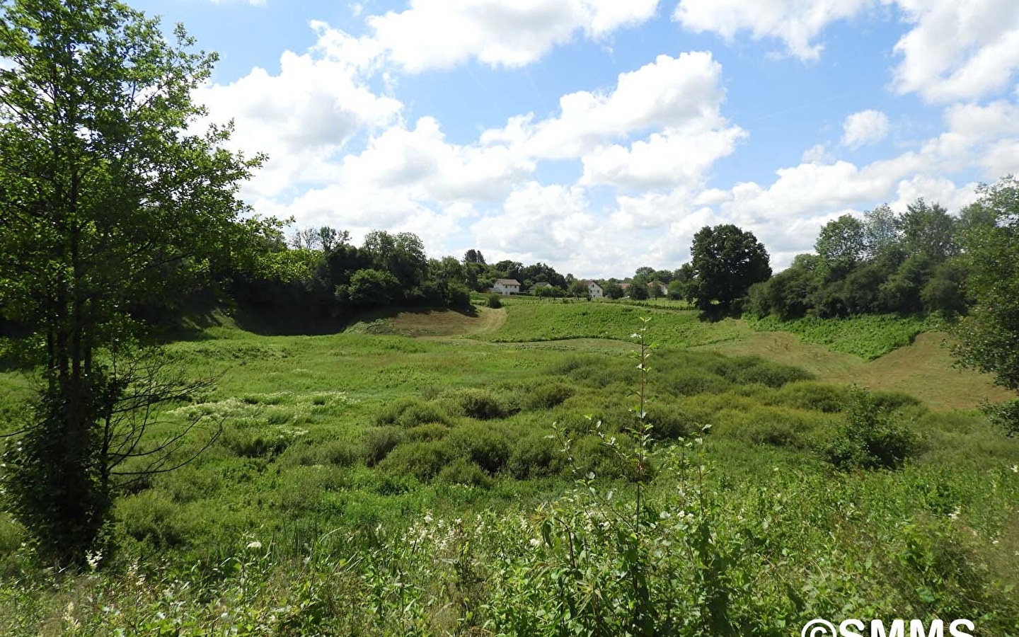 Lus van natuurlijke milieus in de moerassen van de Saône