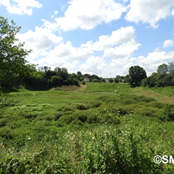 Lus van natuurlijke milieus in de moerassen van de Saône - SAONE
