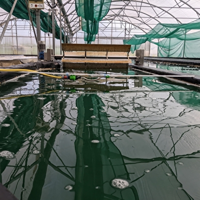 Bezoek aan de boerderij van Puy de la Velle (Doubs Spirulina)