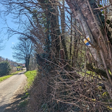 Circuit de randonnée pédestre - sous-buen