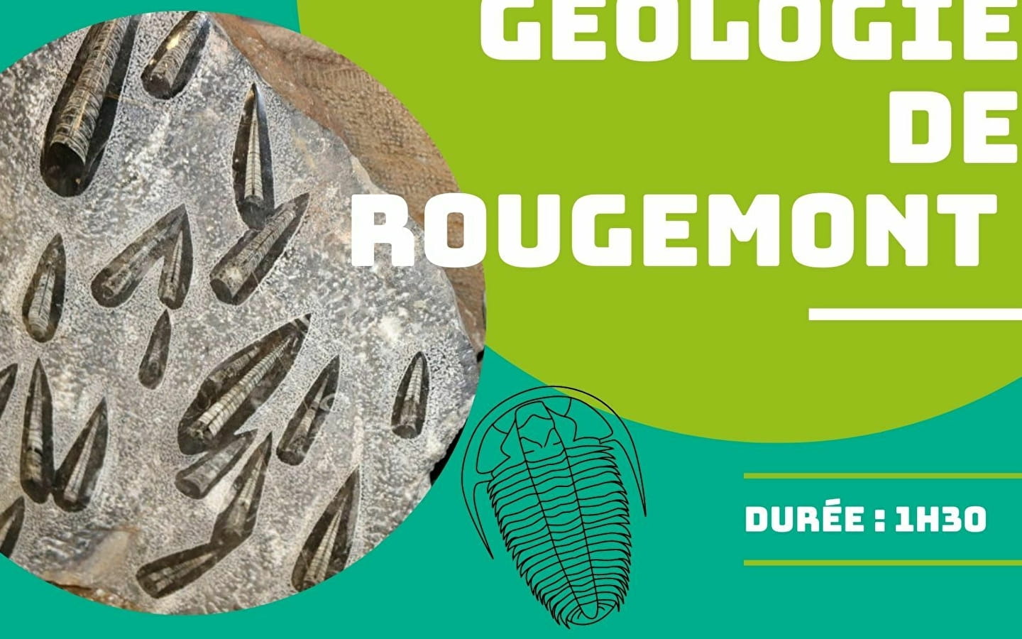 Visite Commentée du Musée de Géologie de Rougemont 