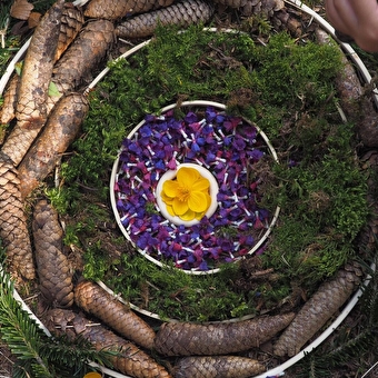 Sorties 'nature' pour les scolaires avec Impulsion - PLATEAU D'HAUTEVILLE