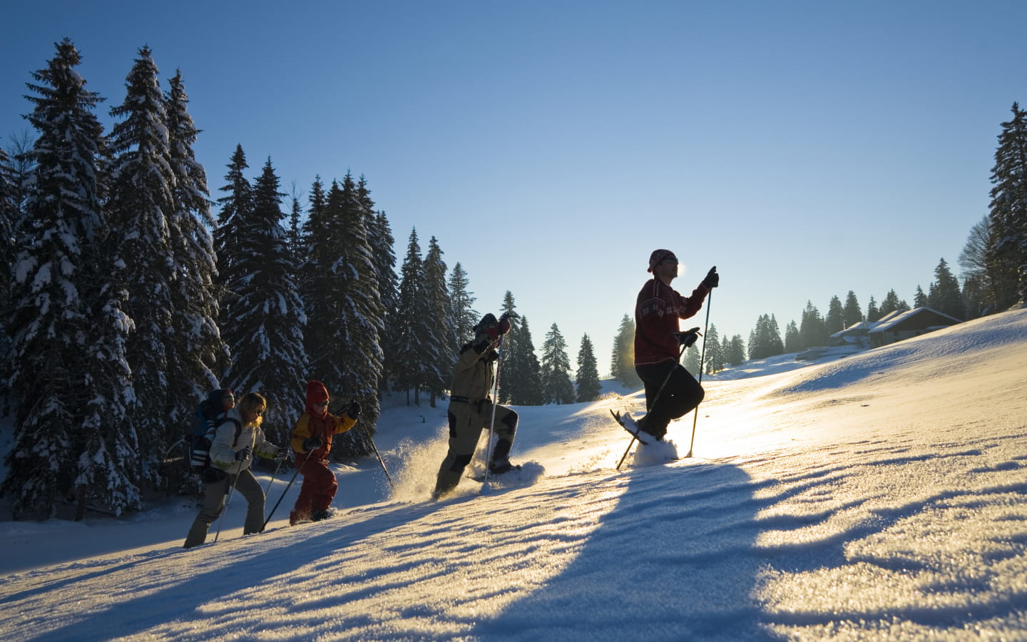 Sneeuwschoenwandeling in Les Rousses