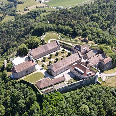 Redders van het Fort 