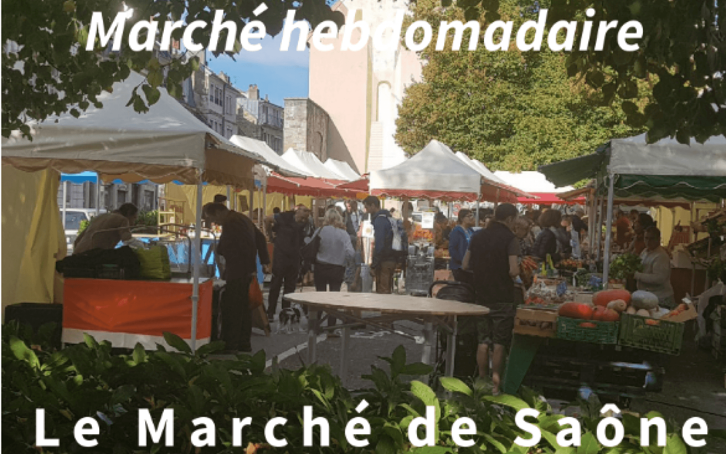 Marché de Saône
