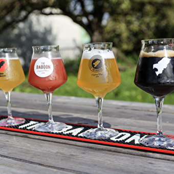 Brasserie The baboon - POLIGNY