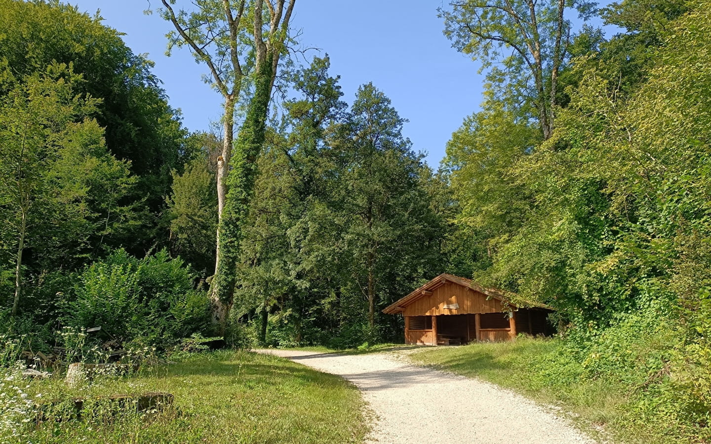 Bezoek aan het Maquis-monument in het Bois de Villars-Sous-Écot