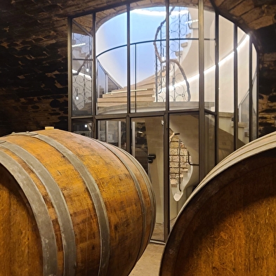 Van laboratorium tot wijngaard: in de voetsporen van Pasteur in Arbois