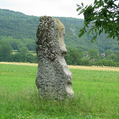 Menhir de pierre