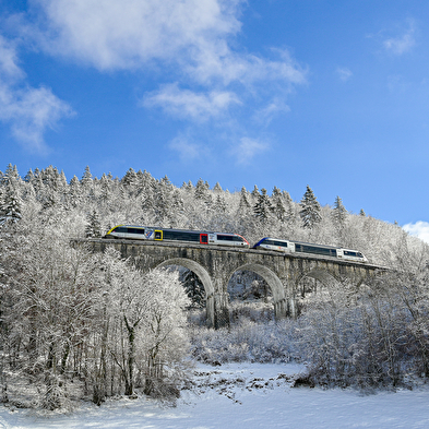 Excursie Ligne des Hirondelles - Neem de viaducten! 