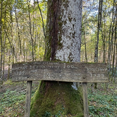 Sentier du Chêne Président 