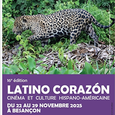 Festival Latino corazón