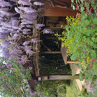 Fleur de Jeannette