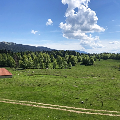 La Grande traversée du Jura met de fiets - GTJ met de fiets