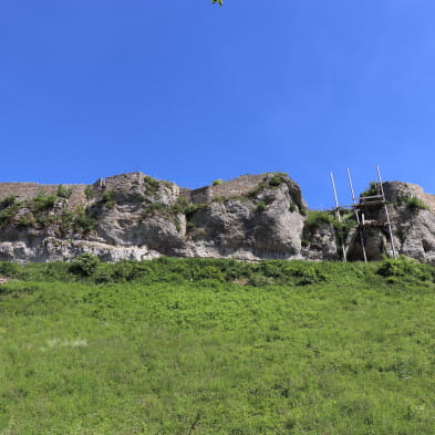 Château médiéval de Montfaucon