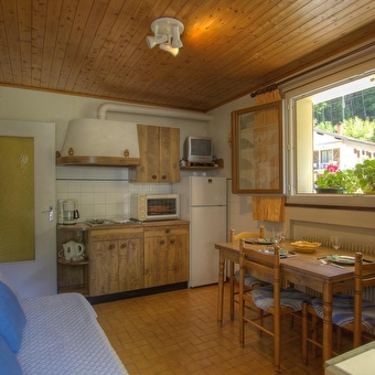 Gîte sous les moulins - CHEZERY-FORENS