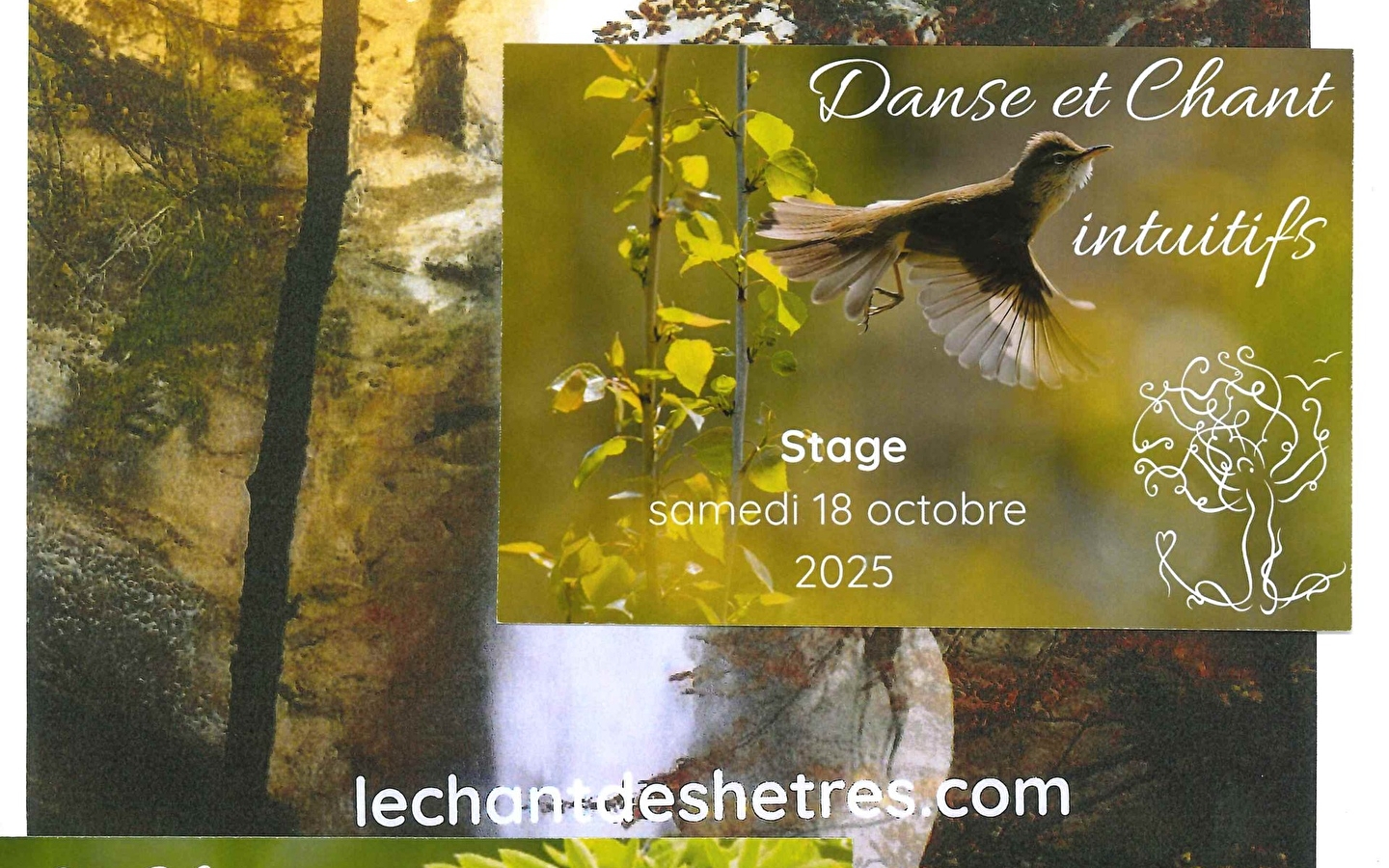 Workshops 'Le Chant des hêtres