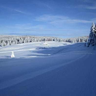 Piste de ski de fond : Jonction la Vattay - Mijoux