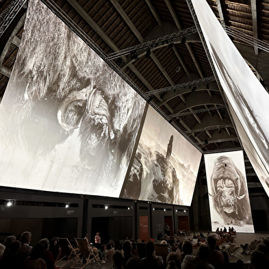 Vertoning van de film: 'Vincent Munier, Des Vosges au Tibet' (Vincent Munier, Van de Vogezen tot Tibet)