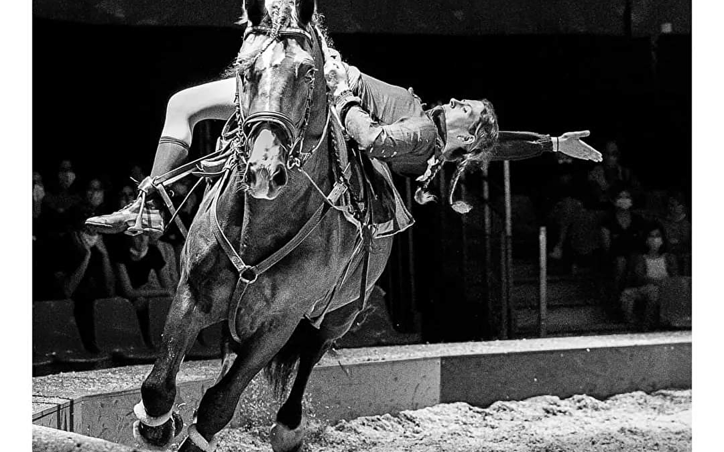 Kerstsabotage - paardenshow