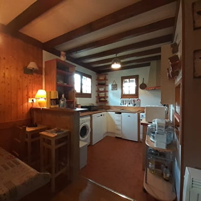 Appartement dans chalet - P513MON00 