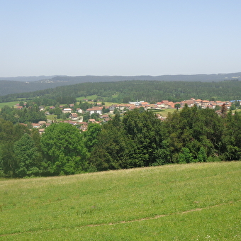 De tocht van Longchaumois - MTB / MTB AE - nr. 28 - LONGCHAUMOIS