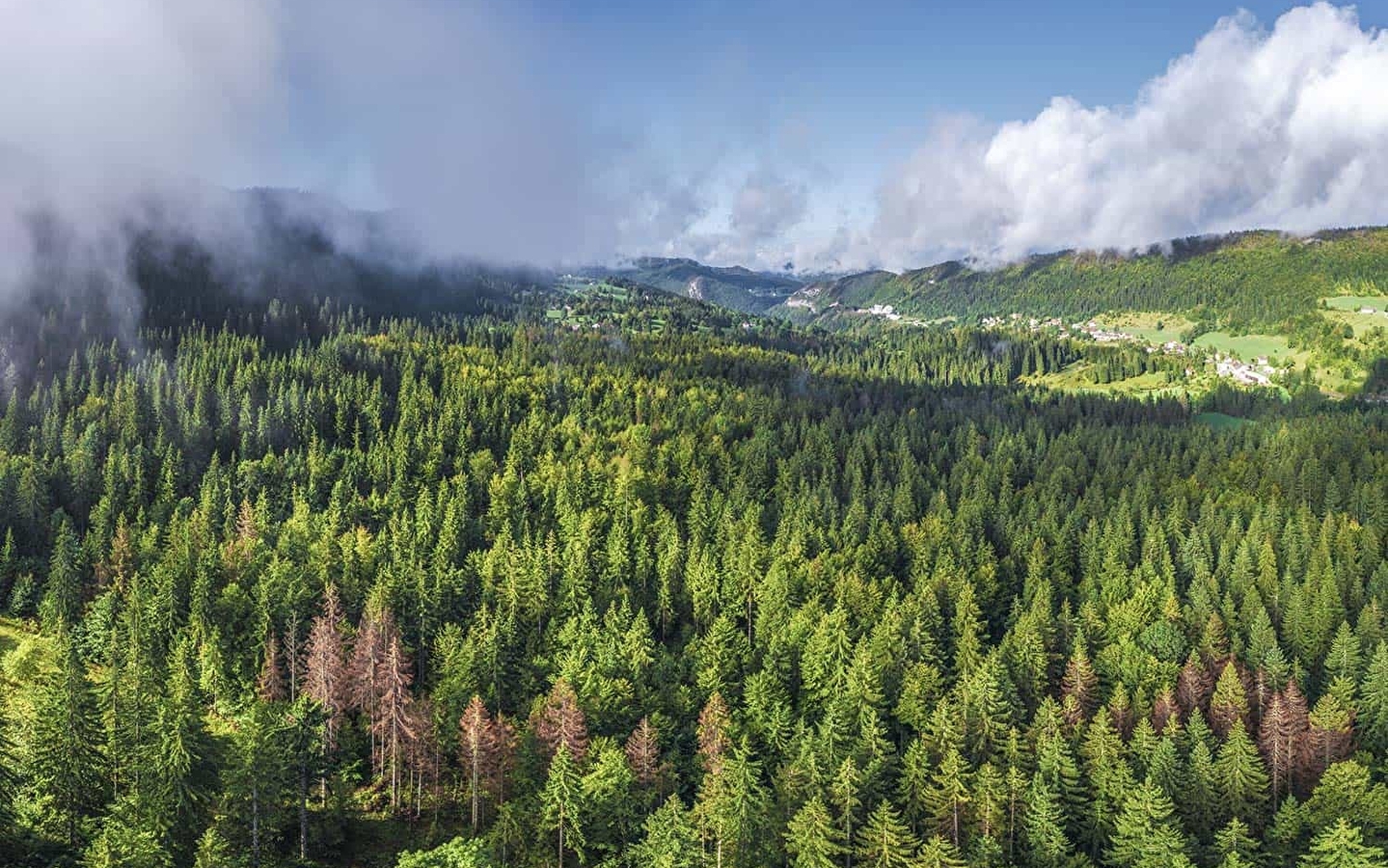 Le tour des savoir-faire - Fietsroute 07