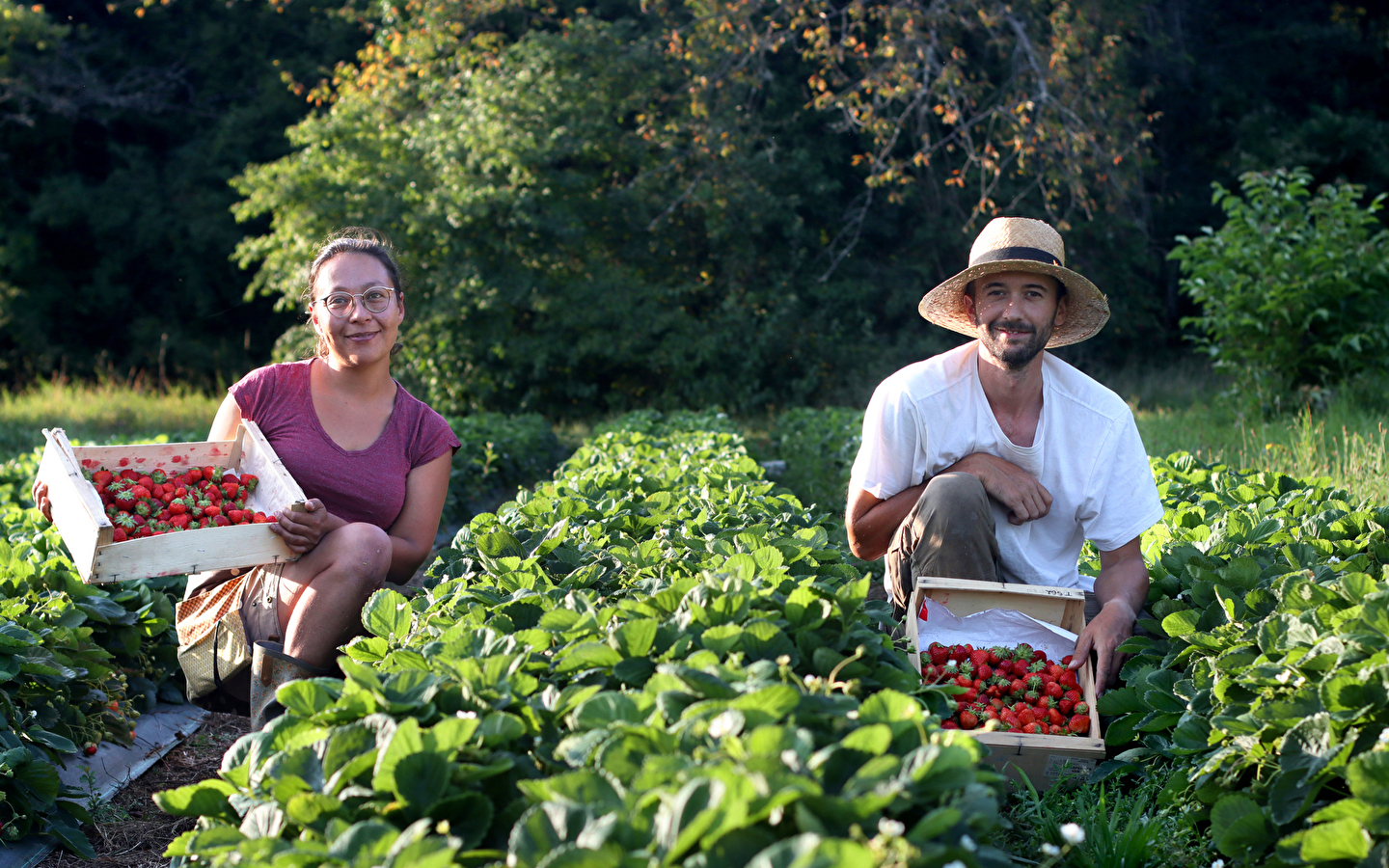 Bezoek aan een biologische fruitboerderij - Le Champ des Gourmands