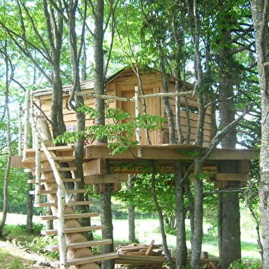 Les Loges du Coinchet - Cabane perchée