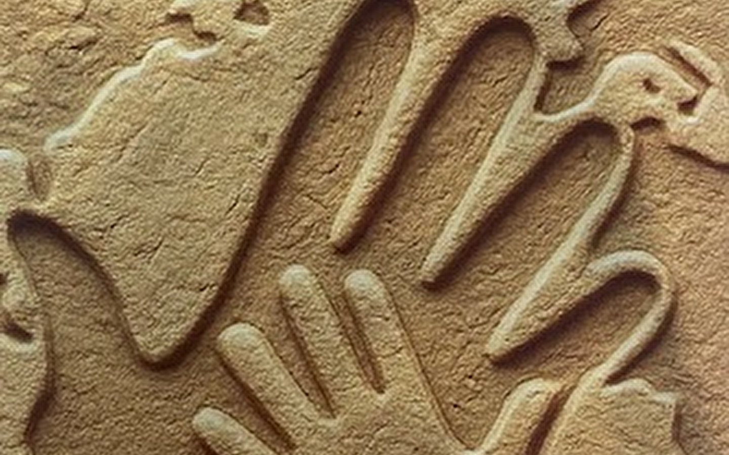 NATUURUITSTAPJE MET HET GEZIN