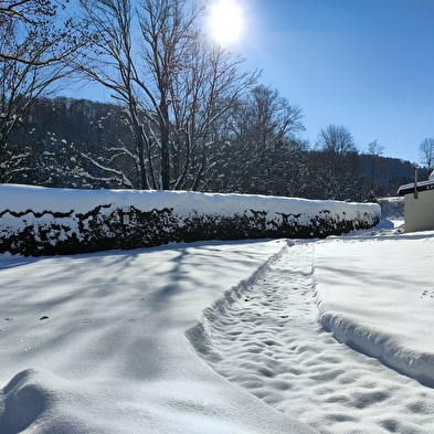 Appartement Souvet n°295