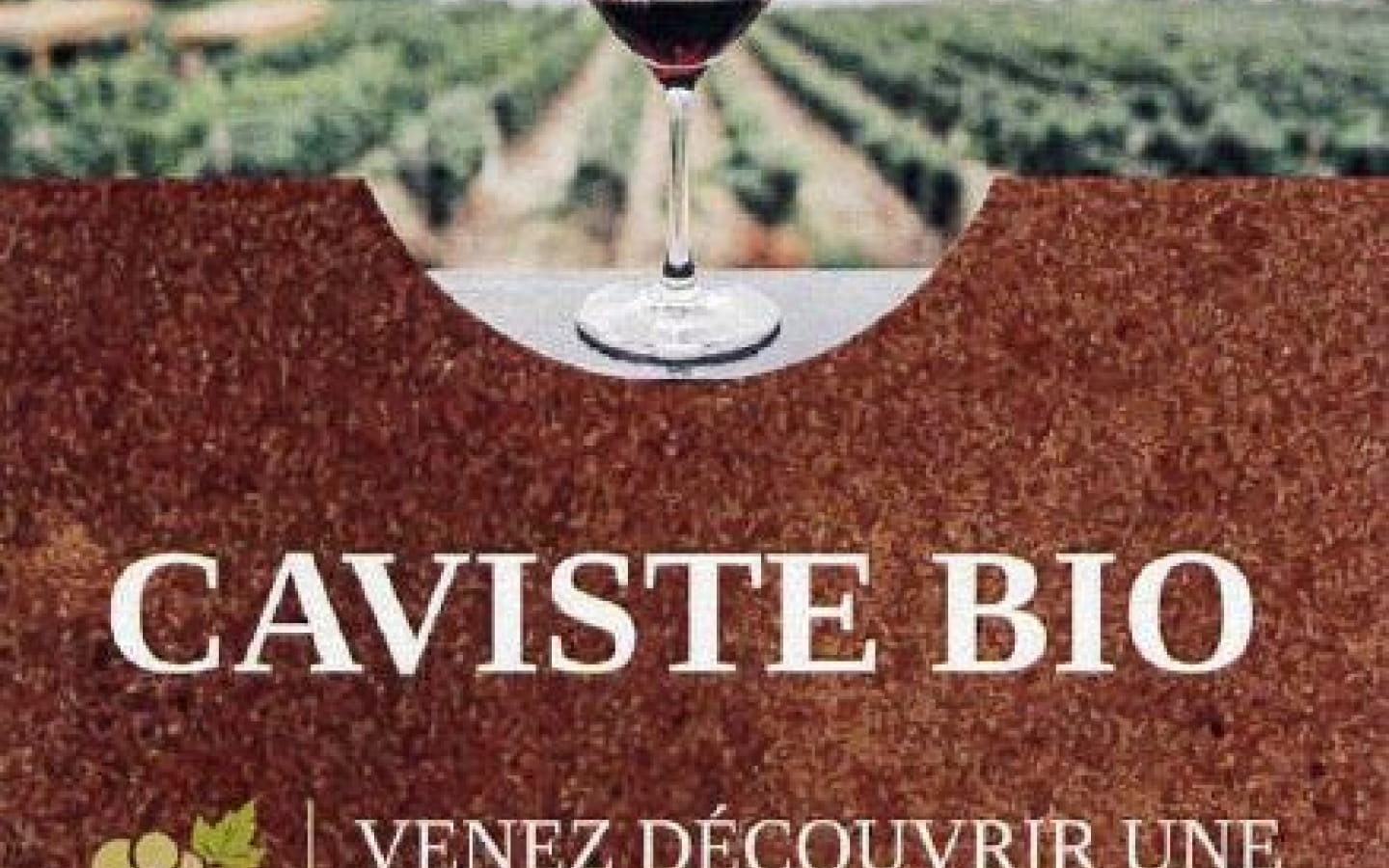 Caviste bio - Vin Art & Plaisir