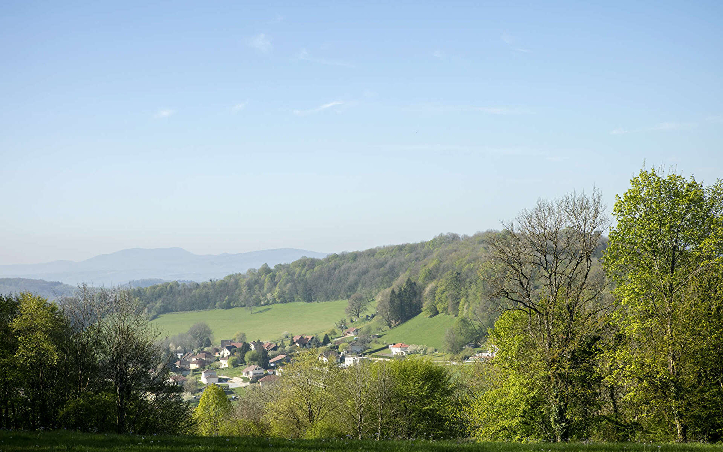 Sentier des Grands Prés
