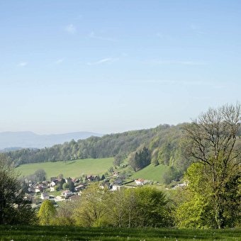 Sentier des Grands Prés - PUGEY