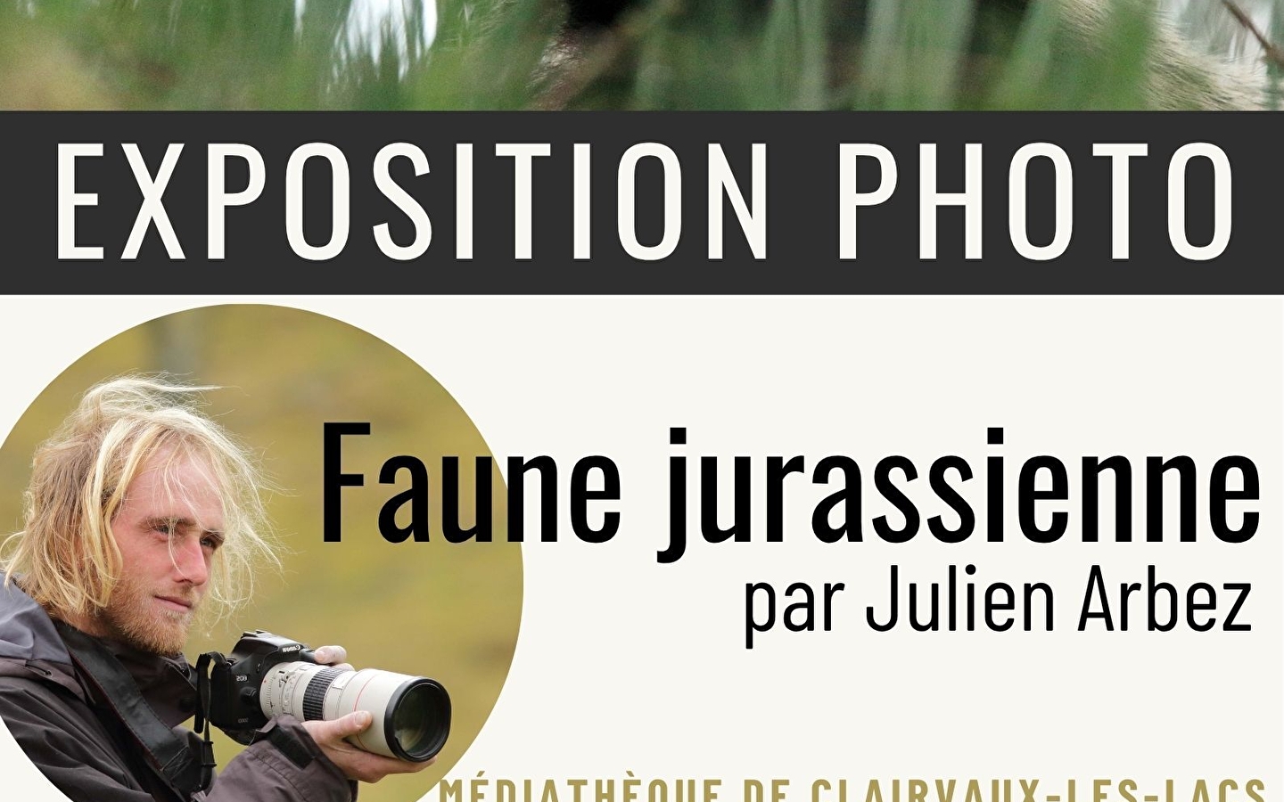 Fototentoonstelling - wilde dieren in de Jura