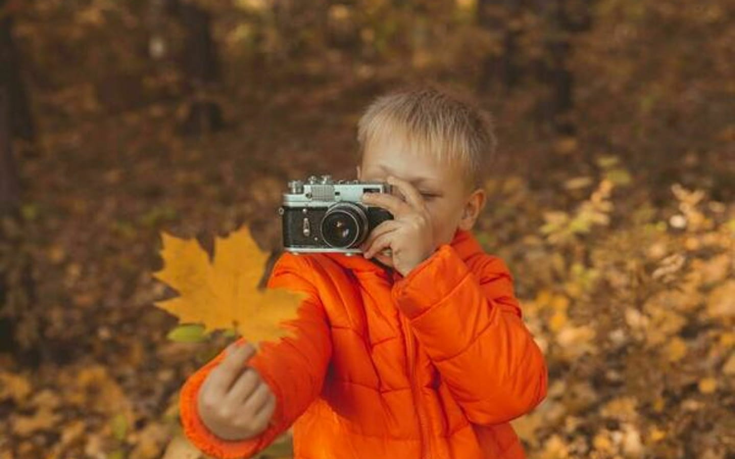 Herfstworkshop voor gezinnen: Leren om levende wezens te observeren