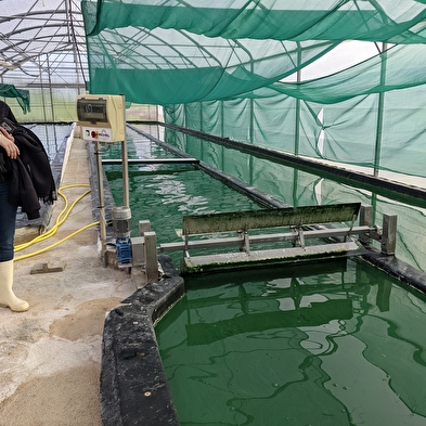 Bezoek aan de boerderij van Puy de la Velle (Doubs Spirulina)