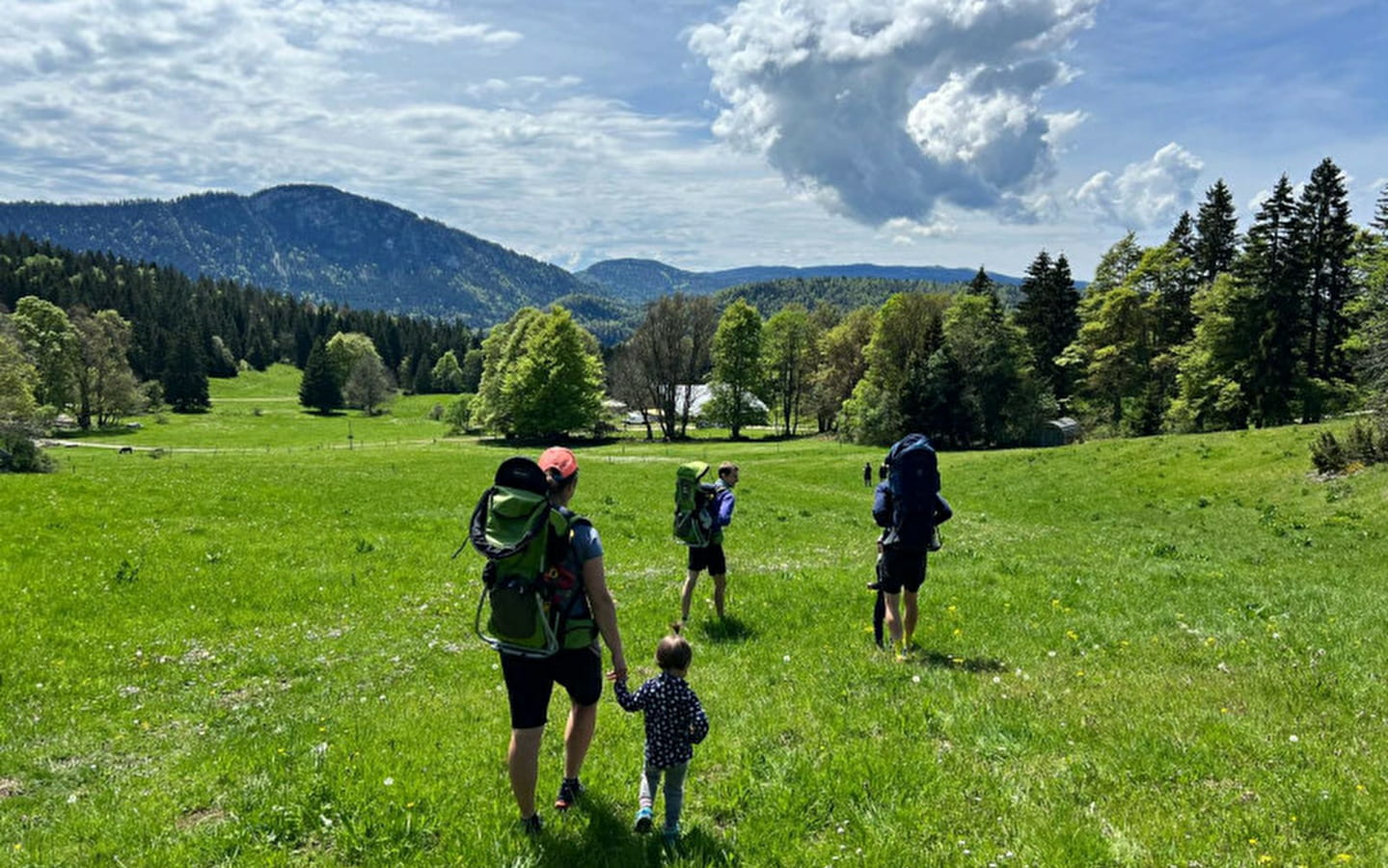 Bezoek de bergweide met de herder: geschiedenis, erfgoed: de geheimen van de Mont d'Or