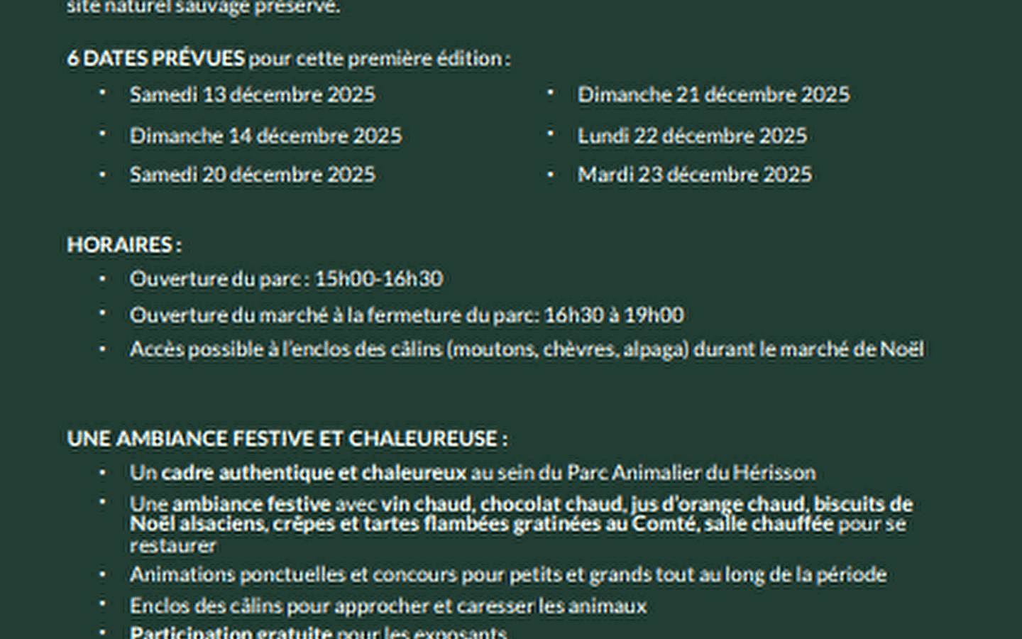 Kerstmarkt - Héria park