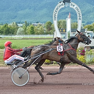 Hippodrome du Grand Genève Divonne-les-Bains