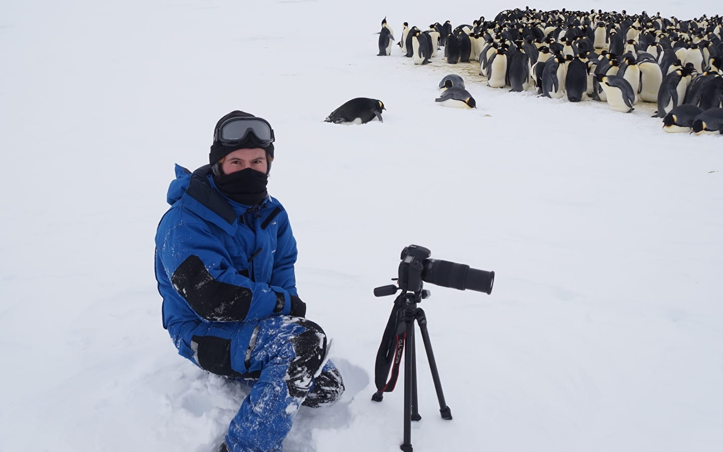 Lezing '14 maanden op Antarctica' door Alexis Carron, natuurlijk ecoloog